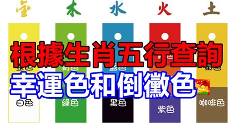 本命顏色|根據生肖五行查詢幸運色和倒霉色